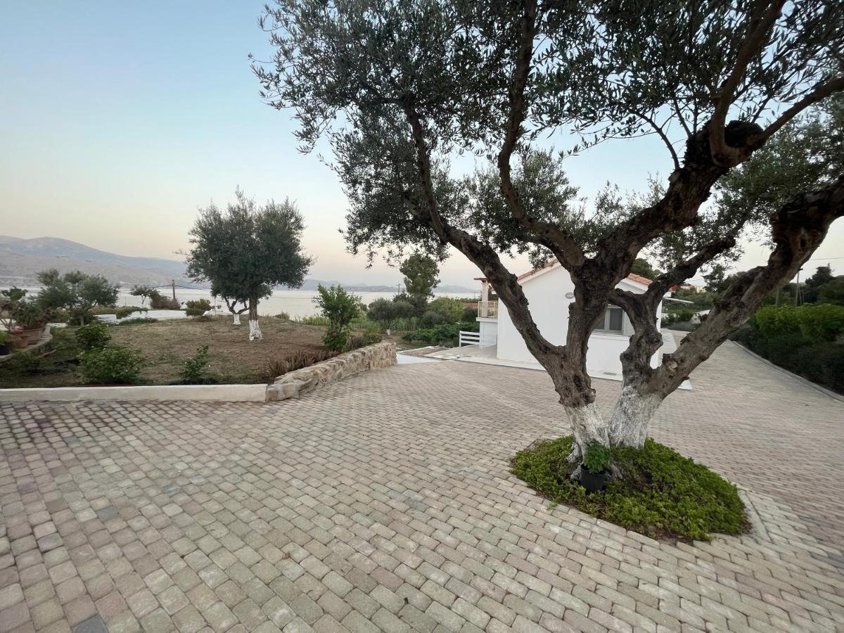 Apollonides Seafront Villa 2 Melete Ληξούρι Εξωτερικό φωτογραφία
