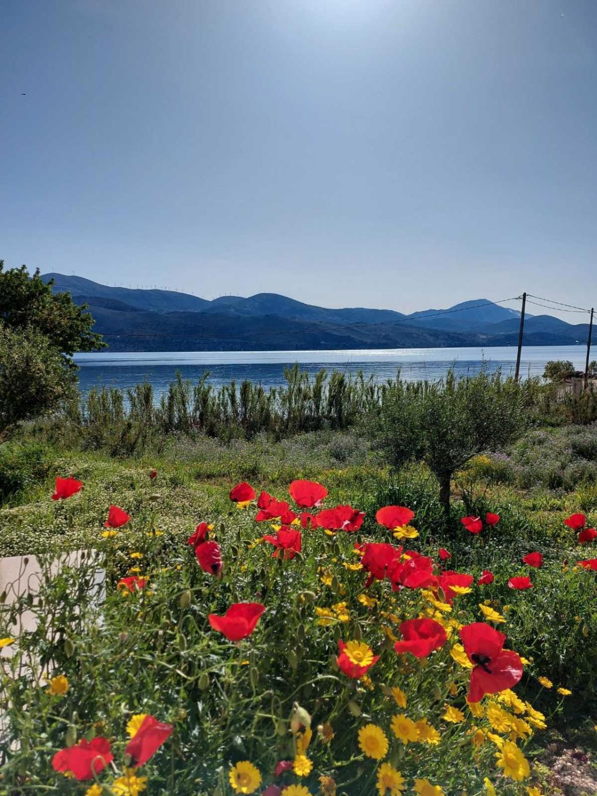 Apollonides Seafront Villa 2 Melete Ληξούρι Εξωτερικό φωτογραφία