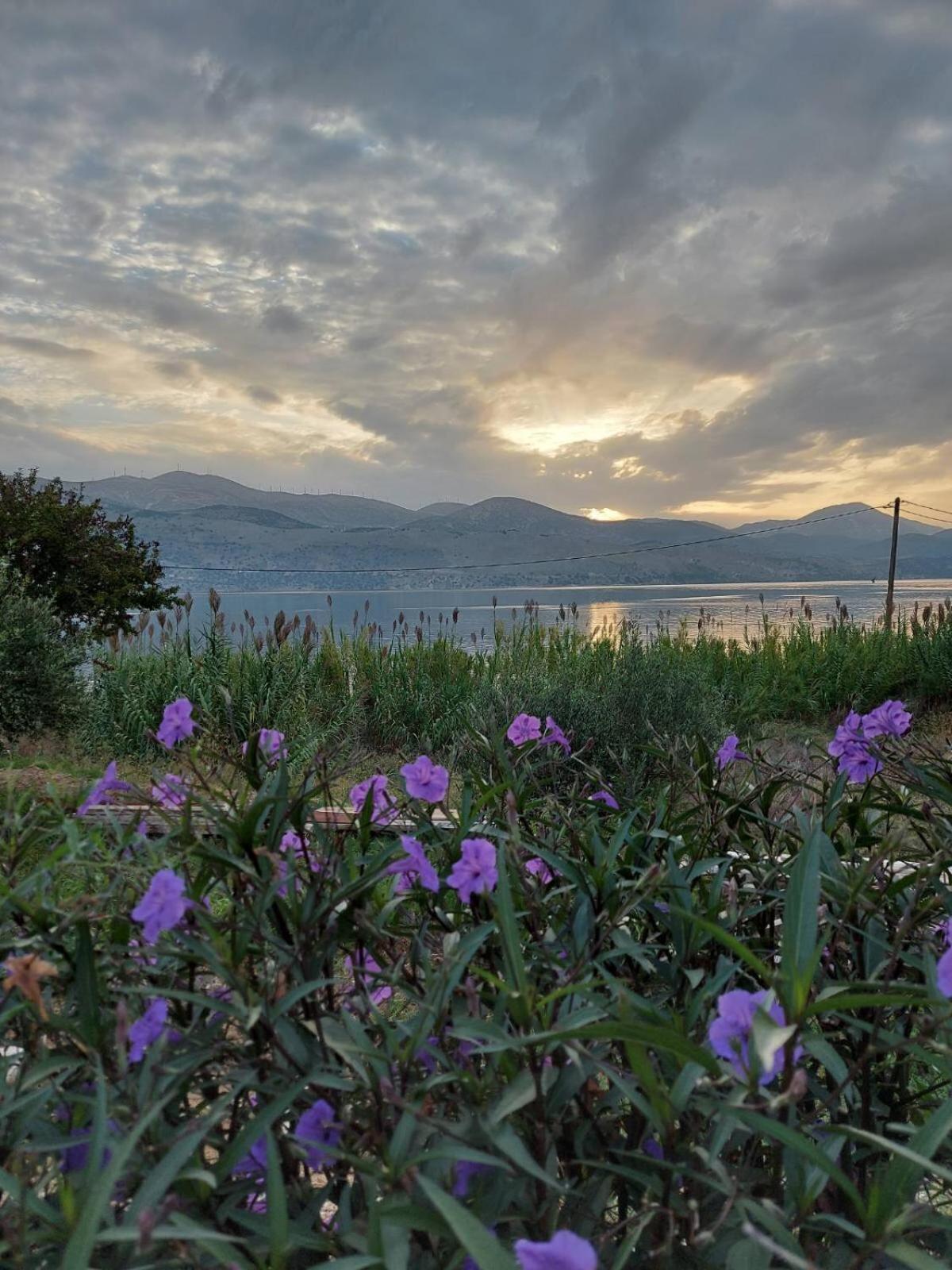 Apollonides Seafront Villa 2 Melete Ληξούρι Εξωτερικό φωτογραφία