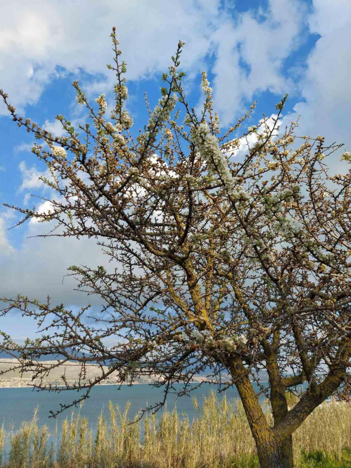 Apollonides Seafront Villa 2 Melete Ληξούρι Εξωτερικό φωτογραφία
